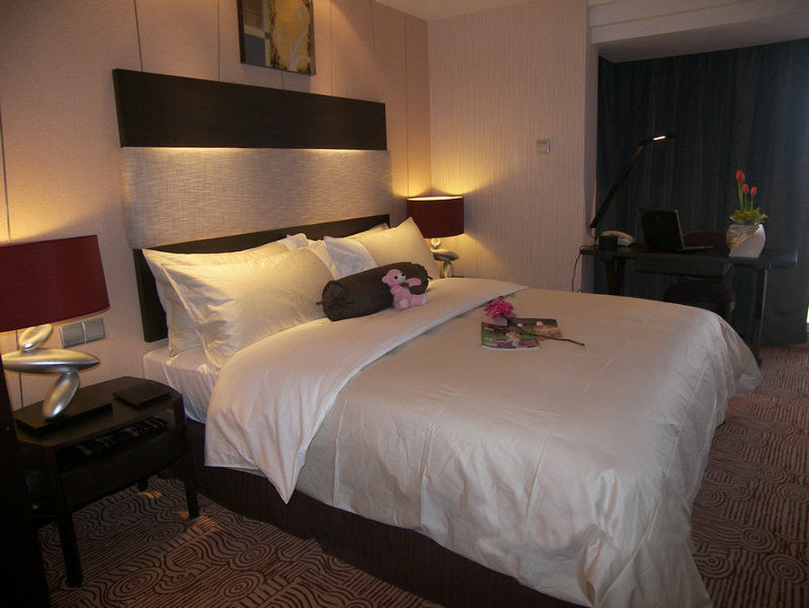 Youngor Leidisen Hotel 蘇州 部屋 写真